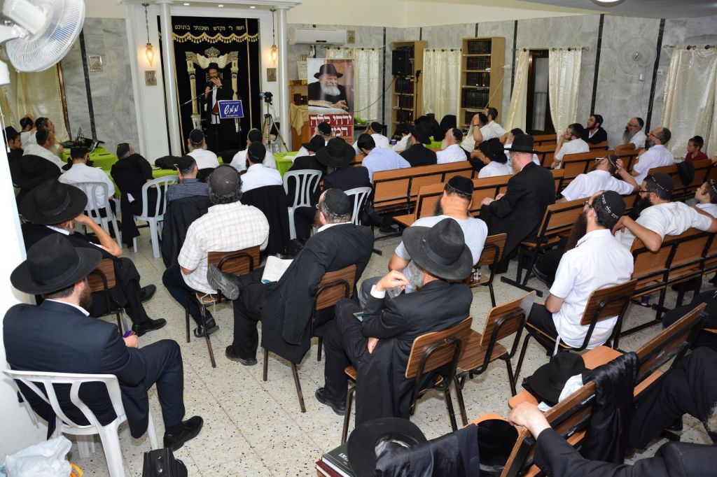 תמונה (174) (Large)